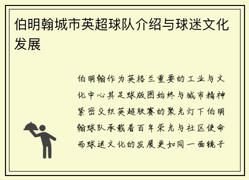 伯明翰城市英超球队介绍与球迷文化发展