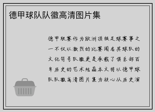 德甲球队队徽高清图片集